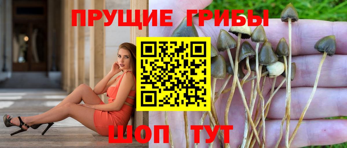 Псилоцибиновые грибы мухоморы Алапаевск
